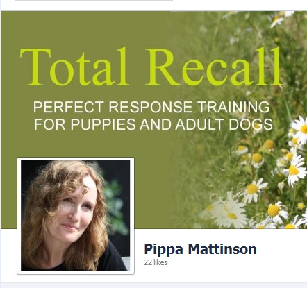 Pippa's Facebook Page